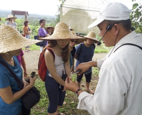 having farm tour