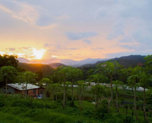 awesome farm scenery during sunset